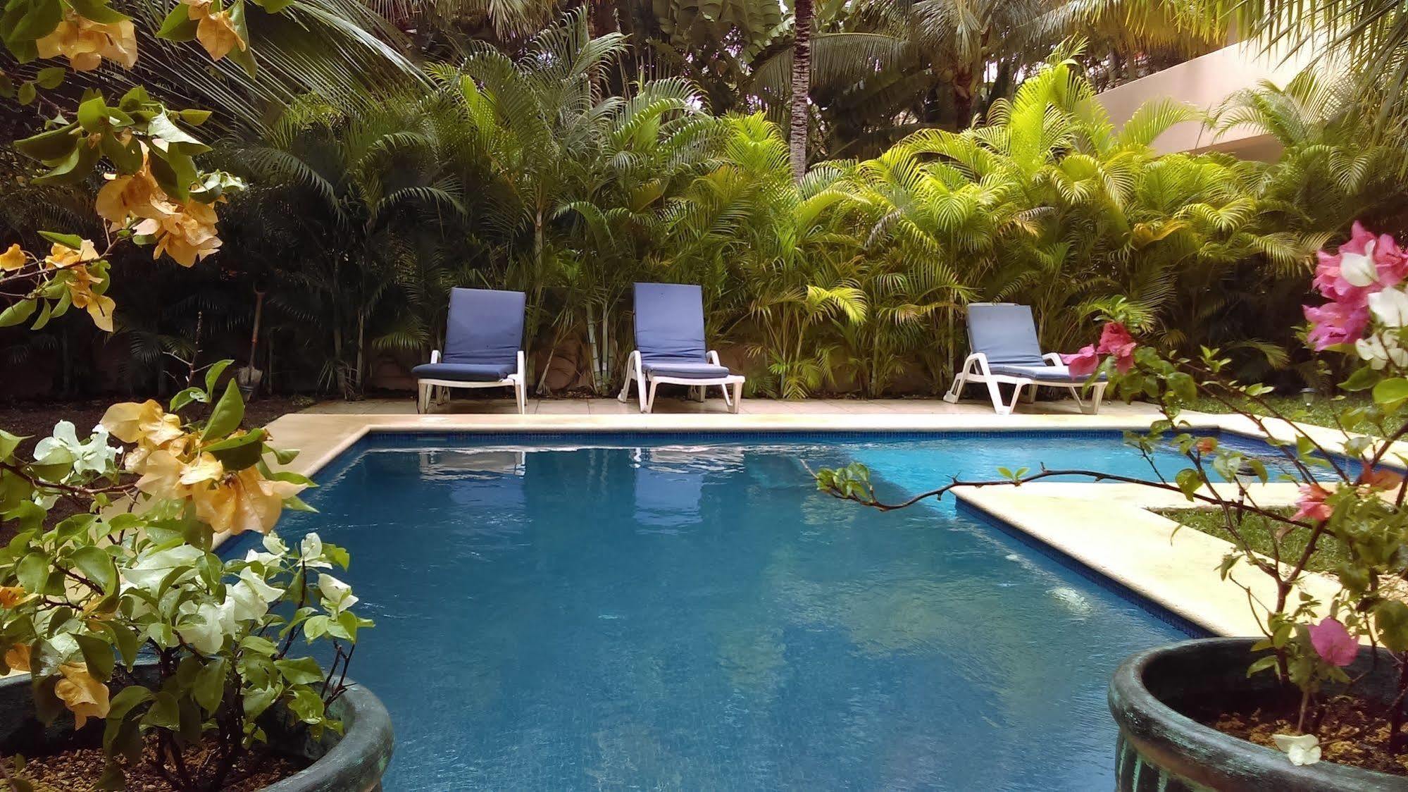 Villas Picalu Lodge Puerto Aventuras Exteriör bild